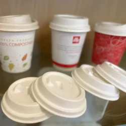 Bagasse Cup Lids