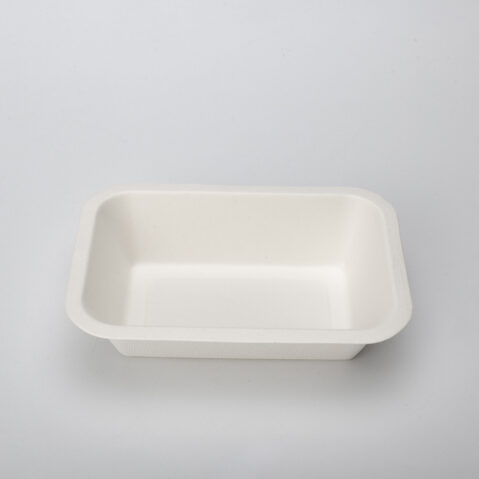 Disposable Fast Food Packaging Tray Biodegradable Sugarcane Bagasse Bamboo Pulp Mould Sushi