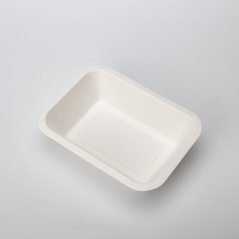 Disposable Fast Food Packaging Tray Biodegradable Sugarcane Bagasse Bamboo Pulp Mould Sushi