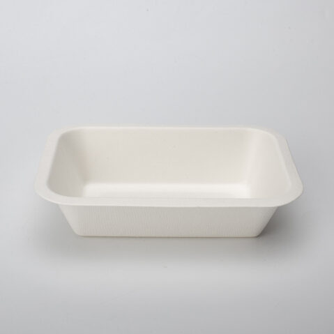 Disposable Fast Food Packaging Tray Biodegradable Sugarcane Bagasse Bamboo Pulp Mould Sushi