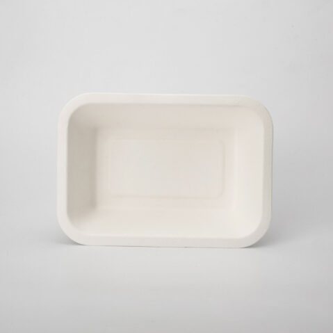 Disposable Fast Food Packaging Tray Biodegradable Sugarcane Bagasse Bamboo Pulp Mould Sushi