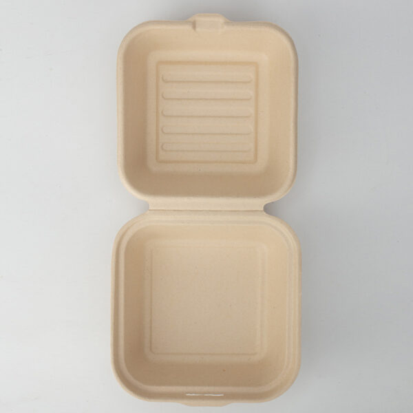 Eco-Friendly Pulp Mould Takeaway Packaging Disposable Sugarcane Bagasse Burger Box Biodegradable1