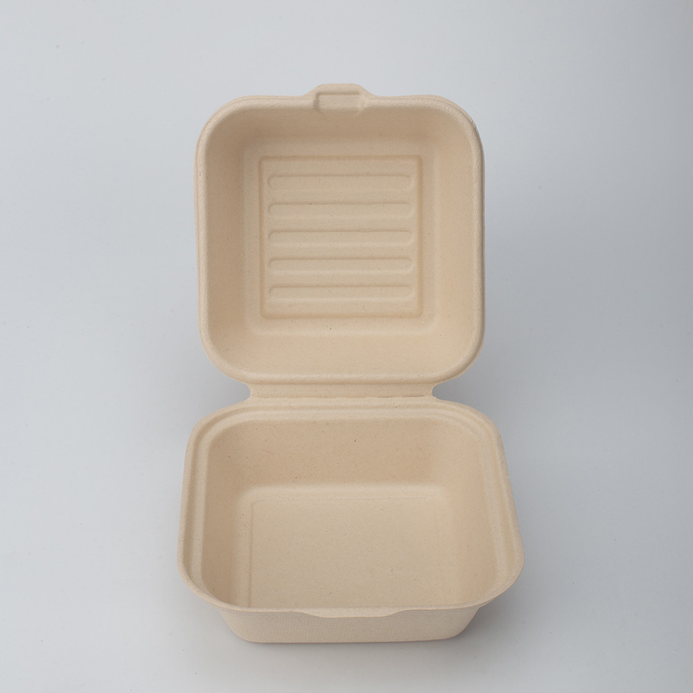 Eco-Friendly Pulp Mould Takeaway Packaging Disposable Sugarcane Bagasse Burger Box Biodegradable1