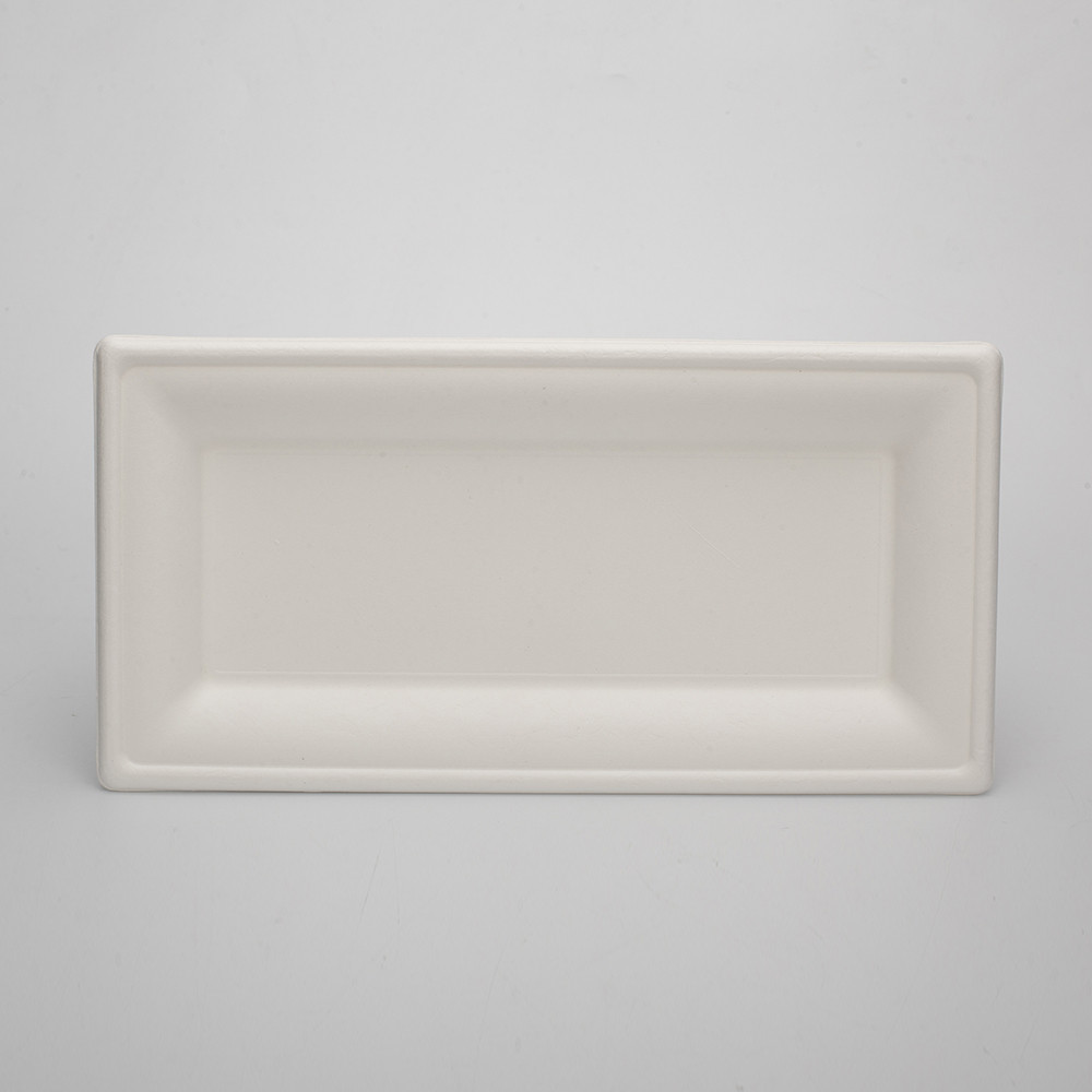 Eco Friendly Takeaway Food Hold Microwavable Biodegradable Disposable Plates Made from Sugarcane Waste Rectangular Bagasse Plates