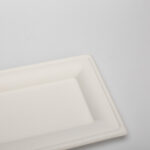 Eco Friendly Takeaway Food Hold Microwavable Biodegradable Disposable Plates Made from Sugarcane Waste Rectangular Bagasse Plates
