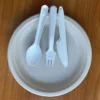 Wholesale Biodegradable Cutlery 100% Compostable Disposable Sugarcane Bagasse Pulp Molding Fork Knife Spoon Cutlery