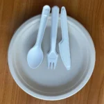 Wholesale Biodegradable Cutlery 100% Compostable Disposable Sugarcane Bagasse Pulp Molding Fork Knife Spoon Cutlery