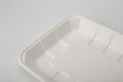 PFAS Free Custom Disposable Biodegradable Food Packaging Sugarcane Bagasse Pulp Tray With Lid