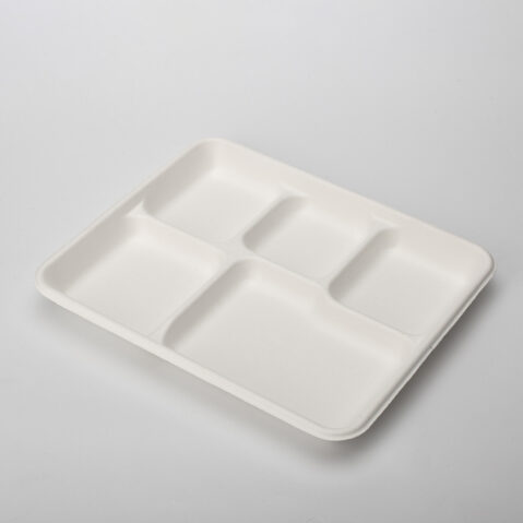 PFAS Free Eco-Friendly Disposable Lunch Tray Sugarcane Bagasse Frozen Microwavable Food Pulp Containers