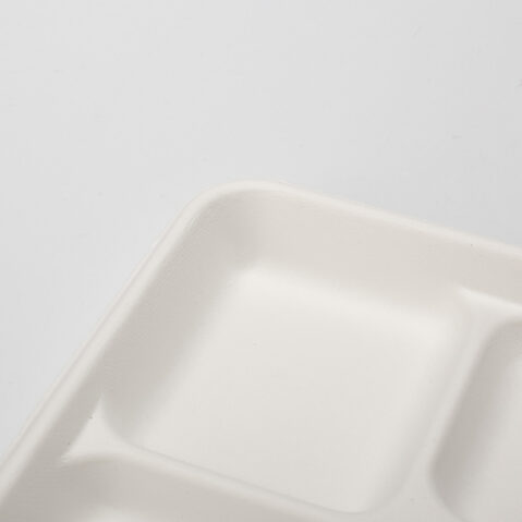 PFAS Free Eco-Friendly Disposable Lunch Tray Sugarcane Bagasse Frozen Microwavable Food Pulp Containers