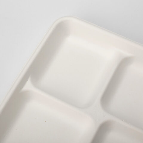 PFAS Free Eco-Friendly Disposable Lunch Tray Sugarcane Bagasse Frozen Microwavable Food Pulp Containers