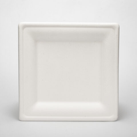White Environmentally Friendly 8 Inch Disposable Bagasse Paper Plate Square Bagasse Plate For Party