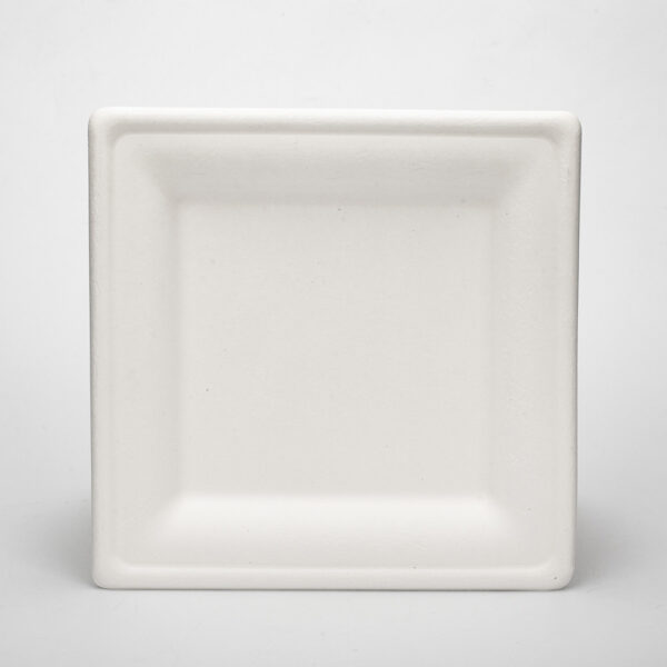 White environmentally friendly 8 inch disposable bagasse paper plate square bagasse plate for party1