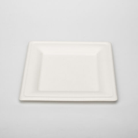 White Environmentally Friendly 8 Inch Disposable Bagasse Paper Plate Square Bagasse Plate For Party