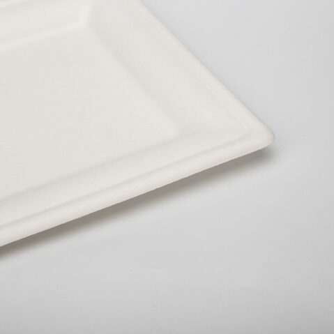 White Environmentally Friendly 8 Inch Disposable Bagasse Paper Plate Square Bagasse Plate For Party